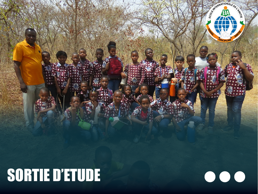 EIA Sortie d'étude